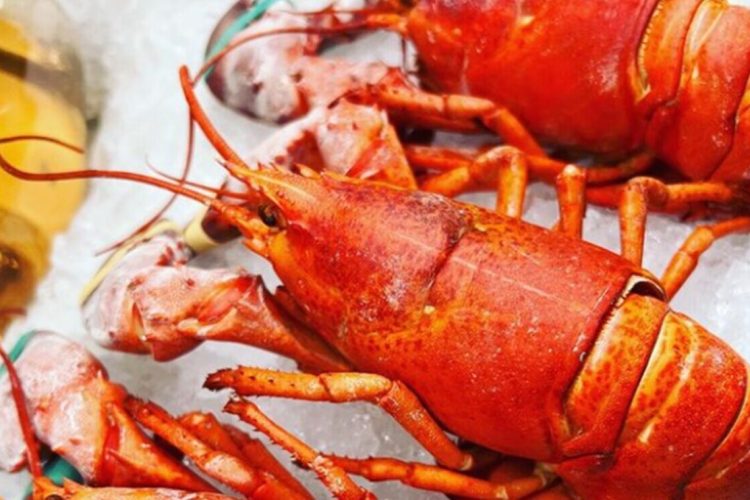 AllBlue_Instagram_Fischrestaurant