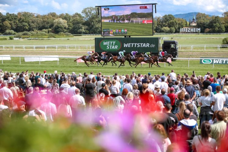 Die Pferde und Jockeys im Rennen vor der Tribüne und den Zuschauern im Rennen am 30.08.2025 Renntag in Baden-Baden. Copyright by Marc Ruehl - Veroeffentlichung nur gegen Honorar (zzgl.MwSt), Namensnennung und Beleg, Bank Routing Number: BIC GENODED1PAF, Bank Account Number: IBAN DE04 3706 2600 1201 6180 17, Steuer-Nr.: 203/5266/0306, Ust_Id_Nr.: De 122081417, Zur Gaulshuette 29, 50181 Bedburg, Phone: +49-(0)2272-83351, www.marcruehl.com, info@marcruehl.com, No Model Release, Abtretung von Persoenlichkeitsrechten der abgebildeten Person/Personen liegen nicht vor. Speichern in Bilddatenbanken oder Vervielfaeltigung ist ohne schriftliche Genehmigung nicht gestattet.