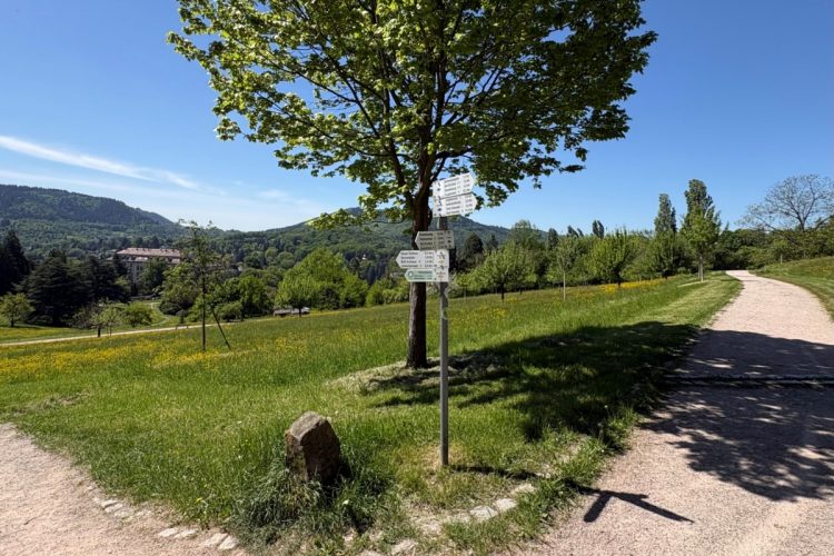 Wegweiser-Hungerberg