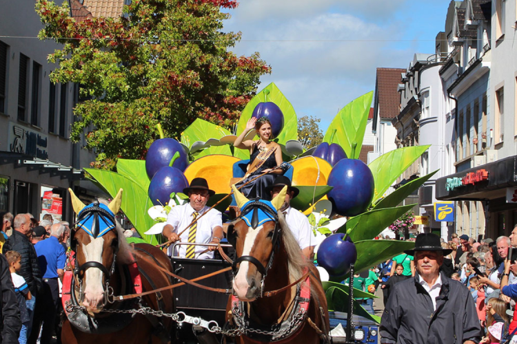 Zwetschgenfest Bühl