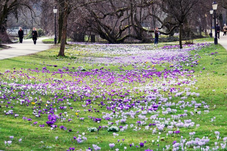 gartenerlebnisse-baden-baden-2026
