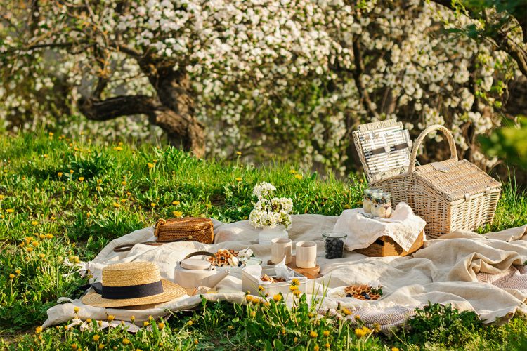 picknick-galopprennbahn-c-unsplash-svitlana