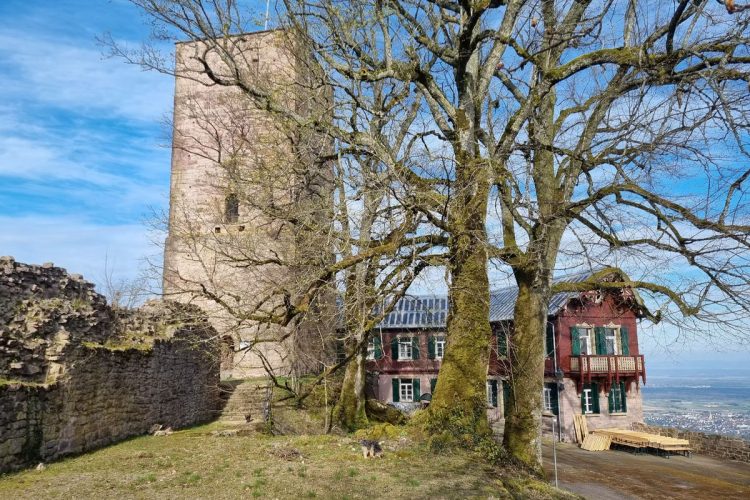 yburg-baden-baden-wiedereroeffnet-2025